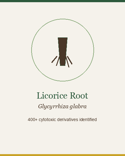 Licorice Root